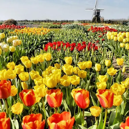 Plevier Comfort-1 By Interhome 3*