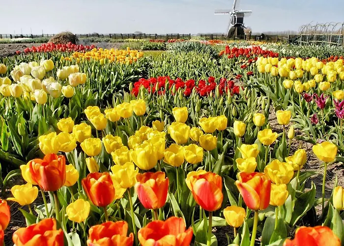 Plevier Comfort-1 By Interhome 3*