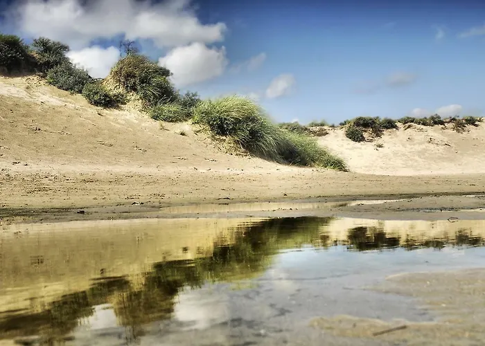 Plevier Comfort-1 By Interhome 3* Noordwijk